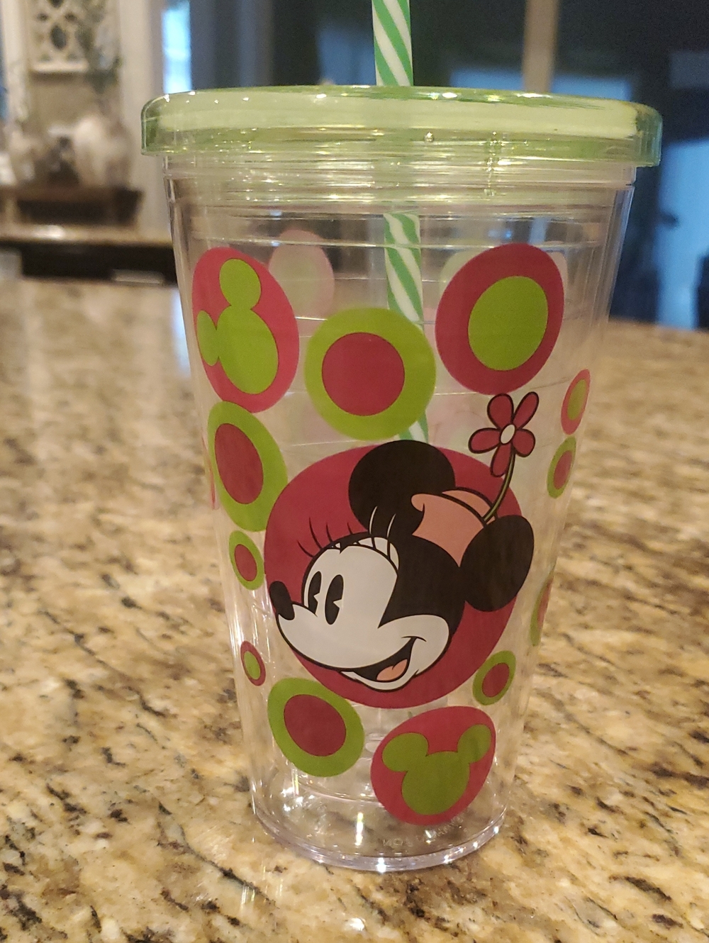 Minnie Mouse Green & Pink Double-Wall Insulated Tumbler with Straw